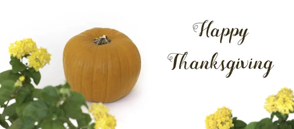 Happy Thanksgiving Banner Orange Pumpkin Yellow Flowers White Background — Stock Photo, Image