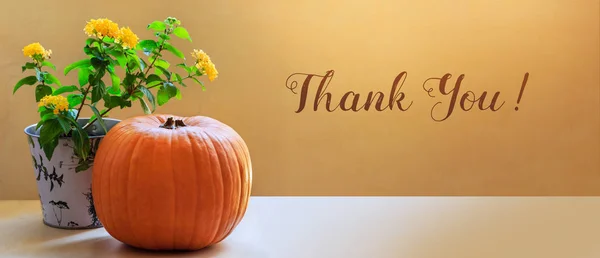 Dziękuję Jesienny Sztandar Motyw Jesieni Dyni Kwiat Przeciwko Złotej Ścianie — Zdjęcie stockowe