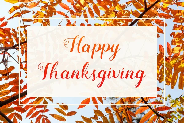 Днем Благодарения Дизайн Поздравительных Открыток Текстом Красочной Осенней Листве — стоковое фото
