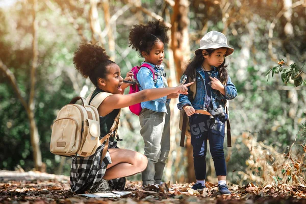 Journey Concept of Explorer Kids Travelling and Hiking in the Fo — Stock Photo, Image