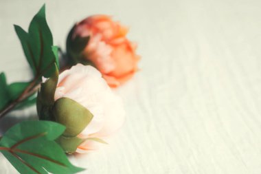 Işık arkaplanındaki Pastel Çiçekleri