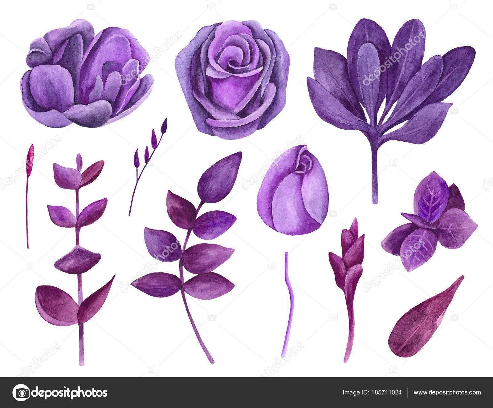 Цветы фиолетовые скетч акварельный