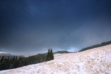 Karlı köknar ağaçları ve kopyalama alanı olan Noel arkaplanı