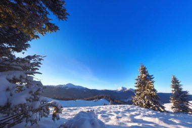 Arka plandaki karlı kış dağlarının güzel manzarası Goverla ve Petros Dağı