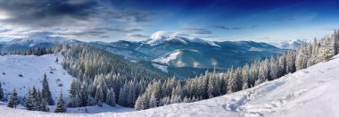 Bir dağ vadisinde kışın manzarası. Karpat Dağları, Ukrayna, Avrupa