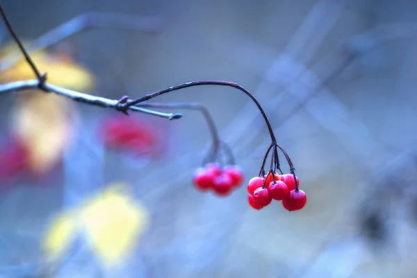 그림같이 아름다운 — 스톡 사진