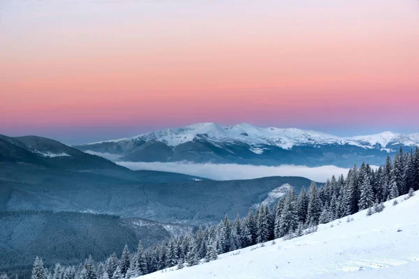 Una Hermosa Vista Los Picos Nevados Los Cárpatos Cielo Antes — Foto de Stock