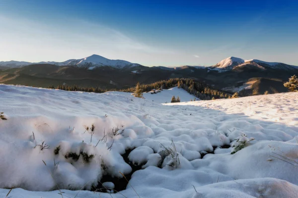 Hermosa Vista Del Paisaje Nevado Invierno Con Abetos Cubiertos Nieve — Foto de Stock