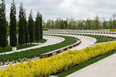Yeşil bahar parkı, uzun ağaçlar ve çiçek açan sarı çalılar.