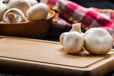 Kırsal arka planda çiğ mantarlarla dolu bir hayat