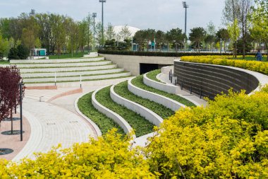 Çiçek açan çalıları olan ilkbahar yeşil parkı