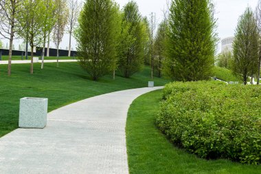 Çiçek açan çalıları olan ilkbahar yeşil parkı