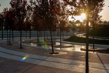 Yeşil park manzarası gözlemleniyor