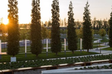 Ağaç ve çalılarla dolu yeşil bir park.