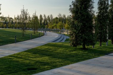 Yeşil park manzarası gözlemleniyor