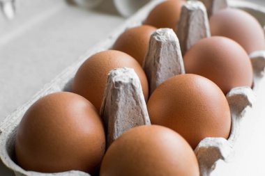 Kağıt konteyner içinde yumurta