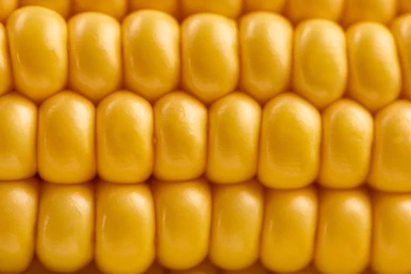 Sarı mısır koçanı detaylı görünümü