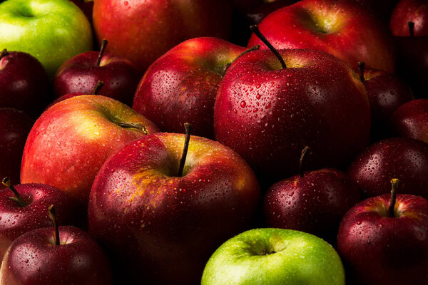 Close view of fresh harvested ripe apples