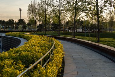 Yeşil park manzarası gözlemleniyor