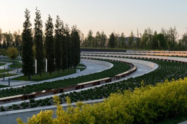 Ağaç ve çalılarla dolu yeşil bir park.