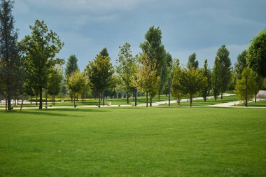 Yeşil çimenler ve ağaçlarla dolu düzenli bir park.