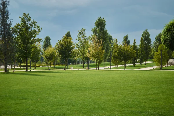Tidy park with green grass and trees