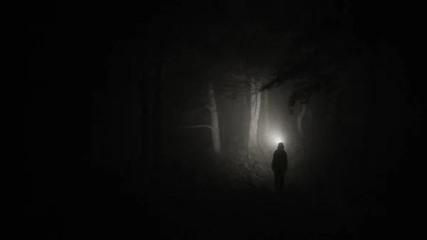 Monochromes Bild Menschlicher Silhouette Dunklen Wald — Stockfoto