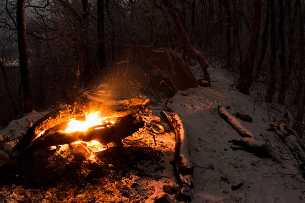 Bonfire in winter forest. Snowy trees, cold weather.