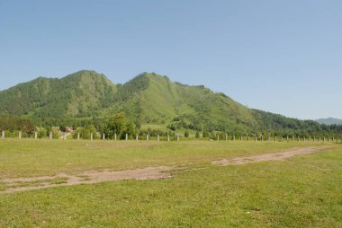 Katun nehrinin yanındaki yeşil dağlar, Altai.