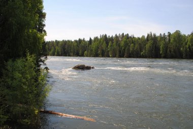 Katun Nehri 'nin geniş akıntısı, Altai