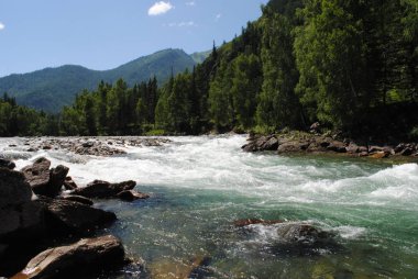 Katun nehrinin hızlı akışı, Altai