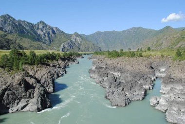 Katun nehrinin dik kıyıları, Altai
