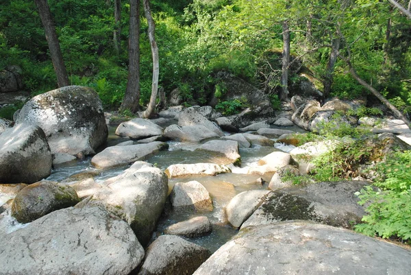 Boulders Het Pad Van Rivier Katun Altai — Stockfoto