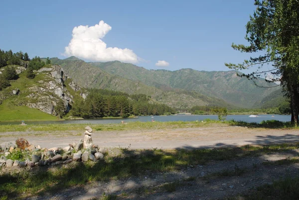 Camino Cerca Del Río Katun Altai — Foto de Stock