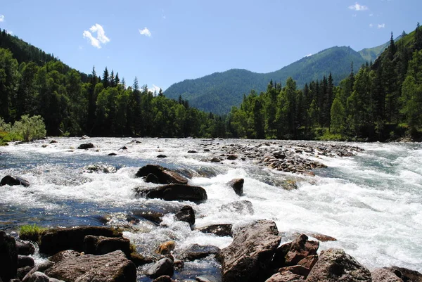 Los Rápidos Río Katun Altai — Foto de Stock