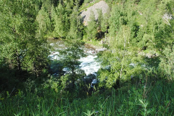 Річка Катун Алтай Кипить Піни — стокове фото