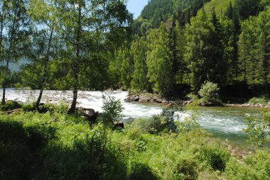 Akıyor Katun, Altai