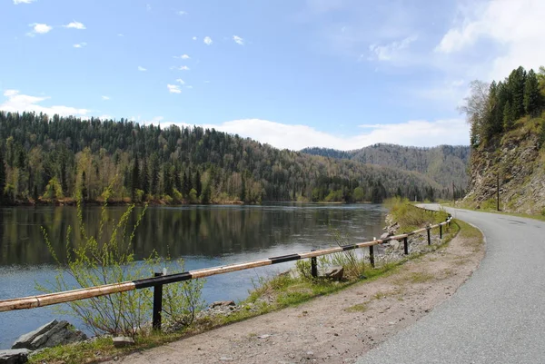 Camino Largo Del Río Katun Altai — Foto de Stock