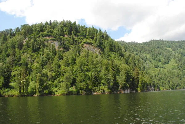 Orillas Boscosas Del Lago Teletskoye Altai — Foto de Stock