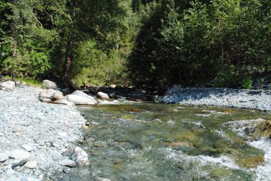 Katun Nehri 'nin dağ yolu, Altai.