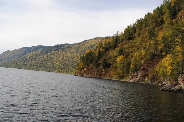 阿尔泰Teletskoe湖的秋天 — 图库照片