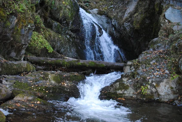 Vodopád Jezeře Teletskoye Altai — Stock fotografie