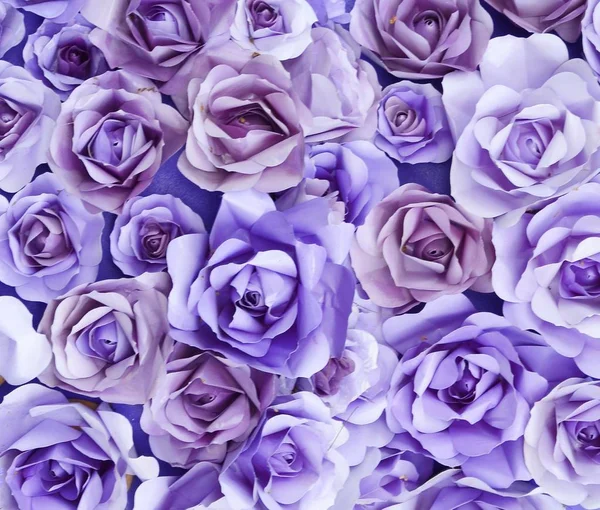 Purple Rose Paper Art Texture — стоковое фото