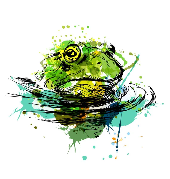 Barevné ruční náčrtek hlavy žába — Stockový vektor