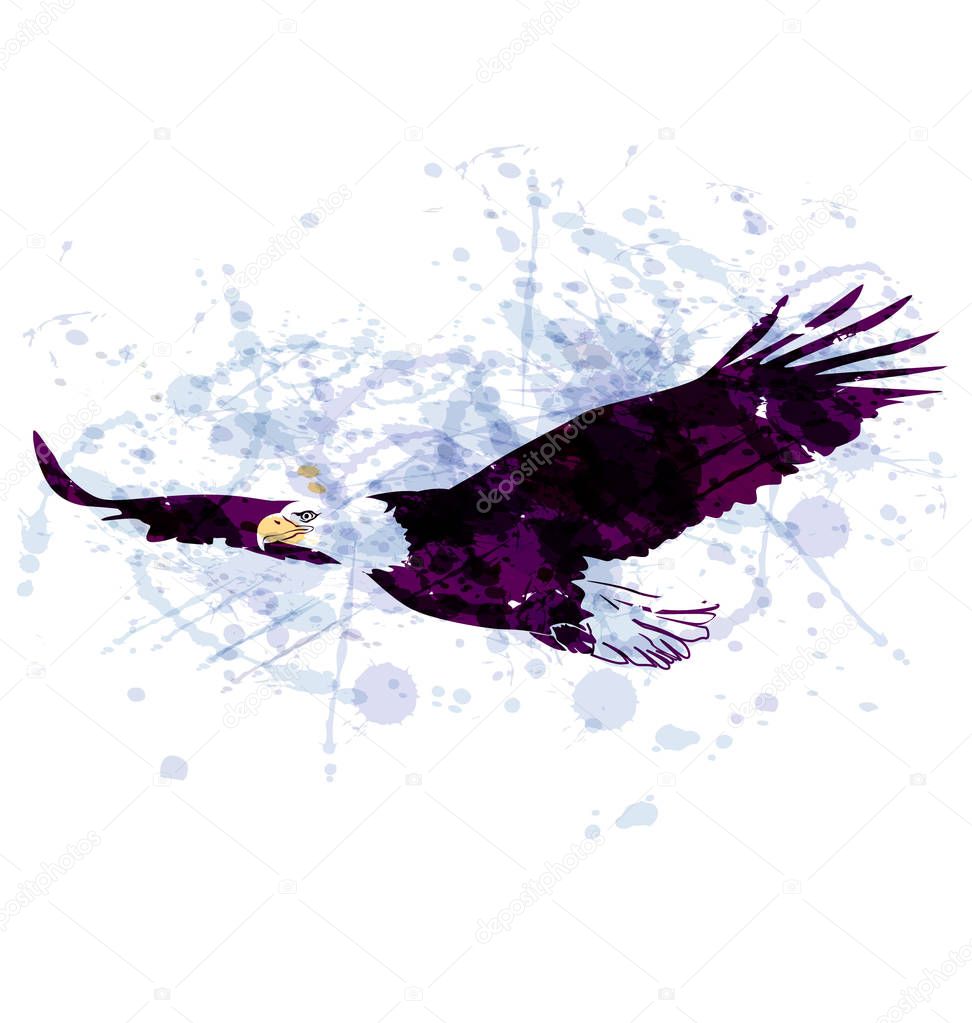 Vector watercolor illustration flying eagle