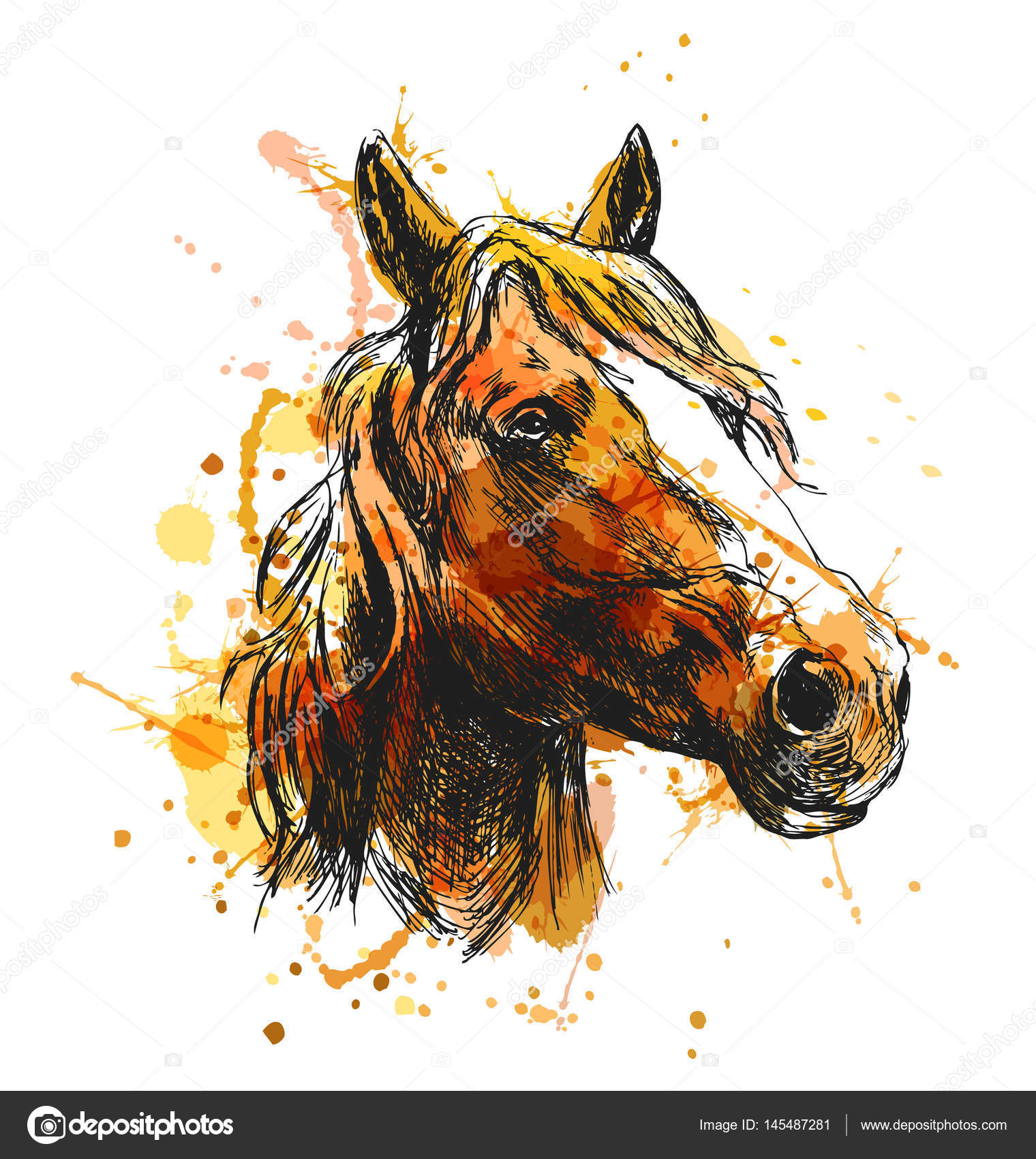 Vector De Material, Cabeça De Cavalo, Brown PNG, Material De Vetor