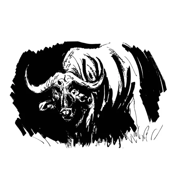 Hand drawing buffalo — Stock Vector