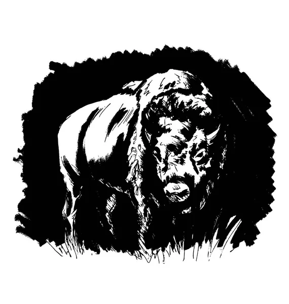 Bison boceto de mano sobre un fondo negro — Archivo Imágenes Vectoriales