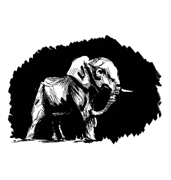Hand skiss av en elefant på en svart bakgrund — Stock vektor