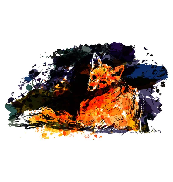 Colorful vector illustration fox — Stock Vector